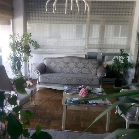 Ξενοδοχείο Saricay 3*